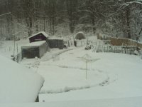 900x900px-LL-7359bab9_winter2012firstsnow009.jpeg