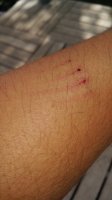 20170619_170310.jpg
