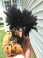 IMG_0357.JPG IMG_0357.JPG