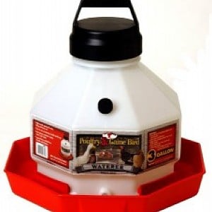 Little Giant 3 Gallon Waterer