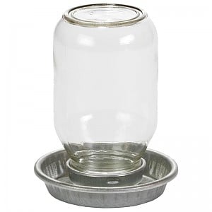 Little Giant 1 Quart Mason Jar Chick Waterer