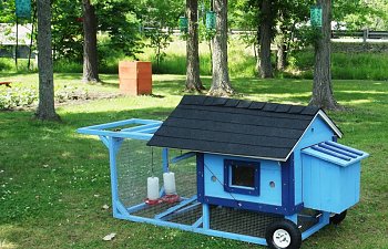 Bkeees Chicken Tractor