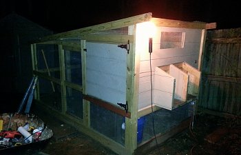 Making my first coop.