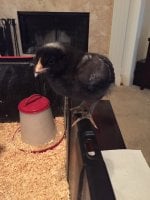 2017-05-29 13.57.52.jpg