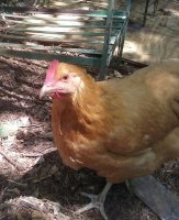 20170620_172954.jpg