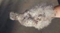 20170615_190114.jpg