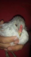 20170614_073743.jpg