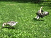 IMG_1516.JPG IMG_1516.JPG