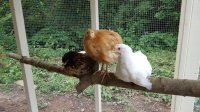 20170619_184758.jpg