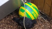 20170622_164610.jpg