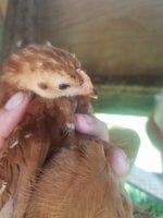 20170622_140031.jpg