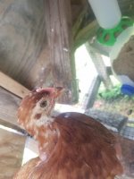 20170622_140137.jpg