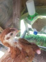 20170622_140113.jpg