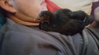 20170622_203436.jpg