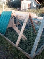 IMG_20170621_195011.jpg