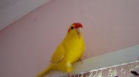 DSC02479.jpg