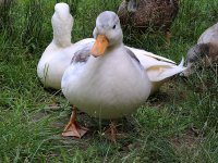 WP_20170622_16_49_59_Pro_LI.jpg