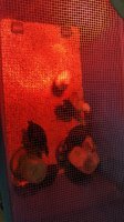 20170623_162148.jpg
