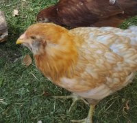 20170621_082557.jpg 20170621_082557.jpg