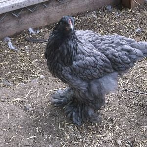 DSCF1633.JPG