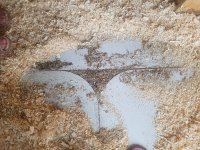 20170625_122658.jpg