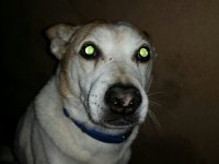 2016-07-29 17.07.51.jpg