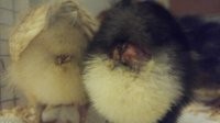 20170626_201108.jpg