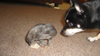 DSC03613.JPG