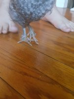 20170627_083109.jpg