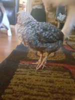 20170627_083013.jpg