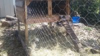 20170416_130312.jpg