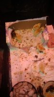 IMG_20170627_102745979.jpg