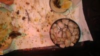 IMG_20170627_102742924.jpg