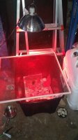 IMG_20170627_102715626.jpg