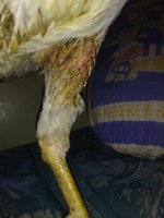 IMG_20170628_120842.jpg