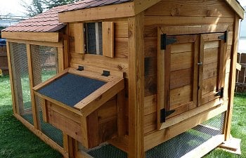 CUTE Amish Style Cedar Sided Coop and Run