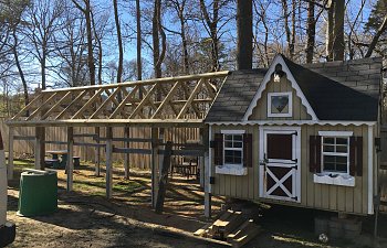 My backyard Coop