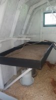 201760627_115706.jpg