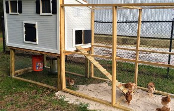 My "I've never built anything like this before, I hope this works!!" Chicken Coop!
