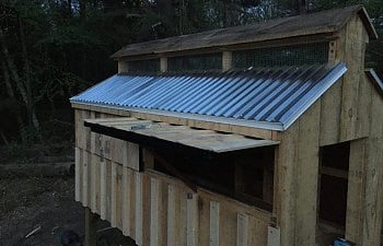 Monitor Barn Style Coop