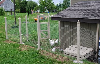 Gary's Chicken Coop
