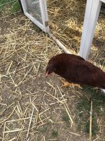 IMG_5366.JPG