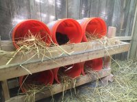 Nesting Buckets.jpg Nesting Buckets.jpg