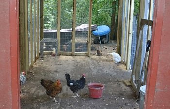 view from perches.jpg
