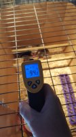 20170629_152542.jpg