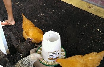 20170629_1048211.jpg