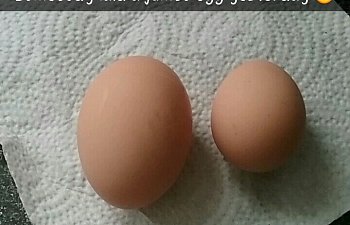 Snapchat-1173989408.jpg