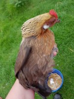 20170630_091721.jpg