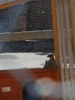 IMG_1058.JPG