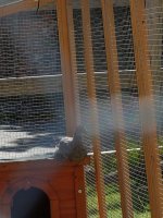 IMG_1059.JPG